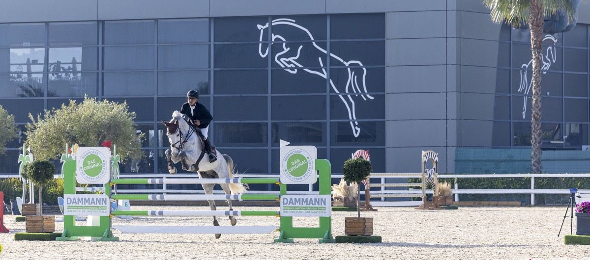 Graues Springpferd mitten im Sprung über ein grünes Hindernis auf Risohorse® Boden bei MET Oliva