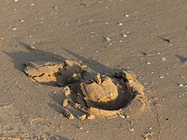 Horseshoe imprint in sand surface – Risohorse riding arena without additives