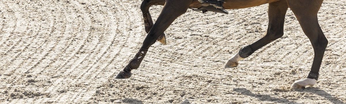 Nahaufnahme der Tretschicht eines Risohorse® Reitbodens mit gleichmässiger Bodenfeuchte