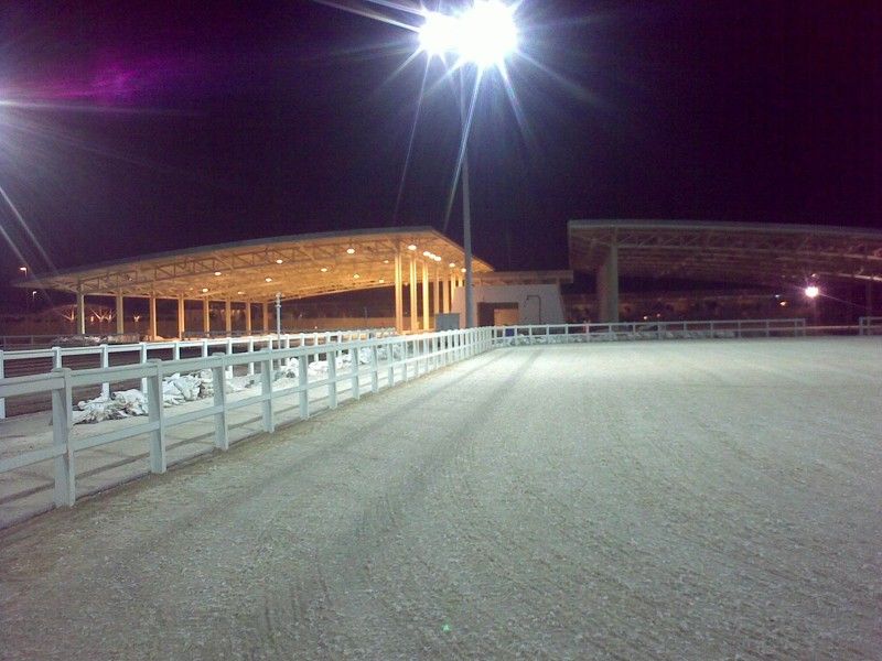 Pista de competición de Al Shaqab Academy en Catar con el sistema de pistas Risohorse®