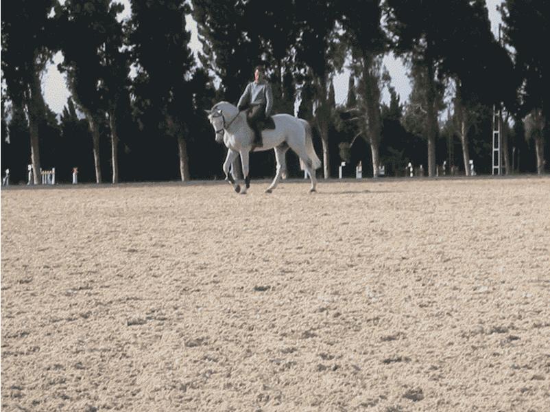 Reitanlage Dehesa Montenmedio in Vejer de la Frontera, Austragungsort der Sunshine Tour