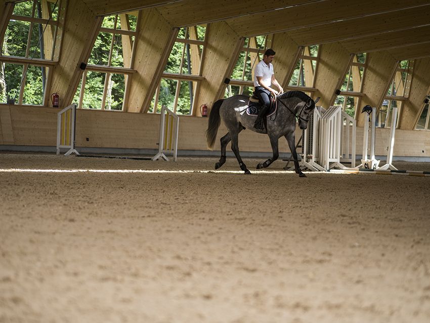Competition arena at SIEC in Istanbul with the Risohorse® ebb-and-flow system