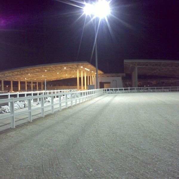 Al Shaqab Academy Qatar pista ecuestre Risohorse® iluminada de noche