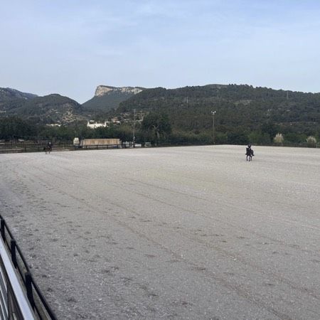 Sanierter Außenreitplatz auf Mallorca mit Risohorse System nach 19 Jahren