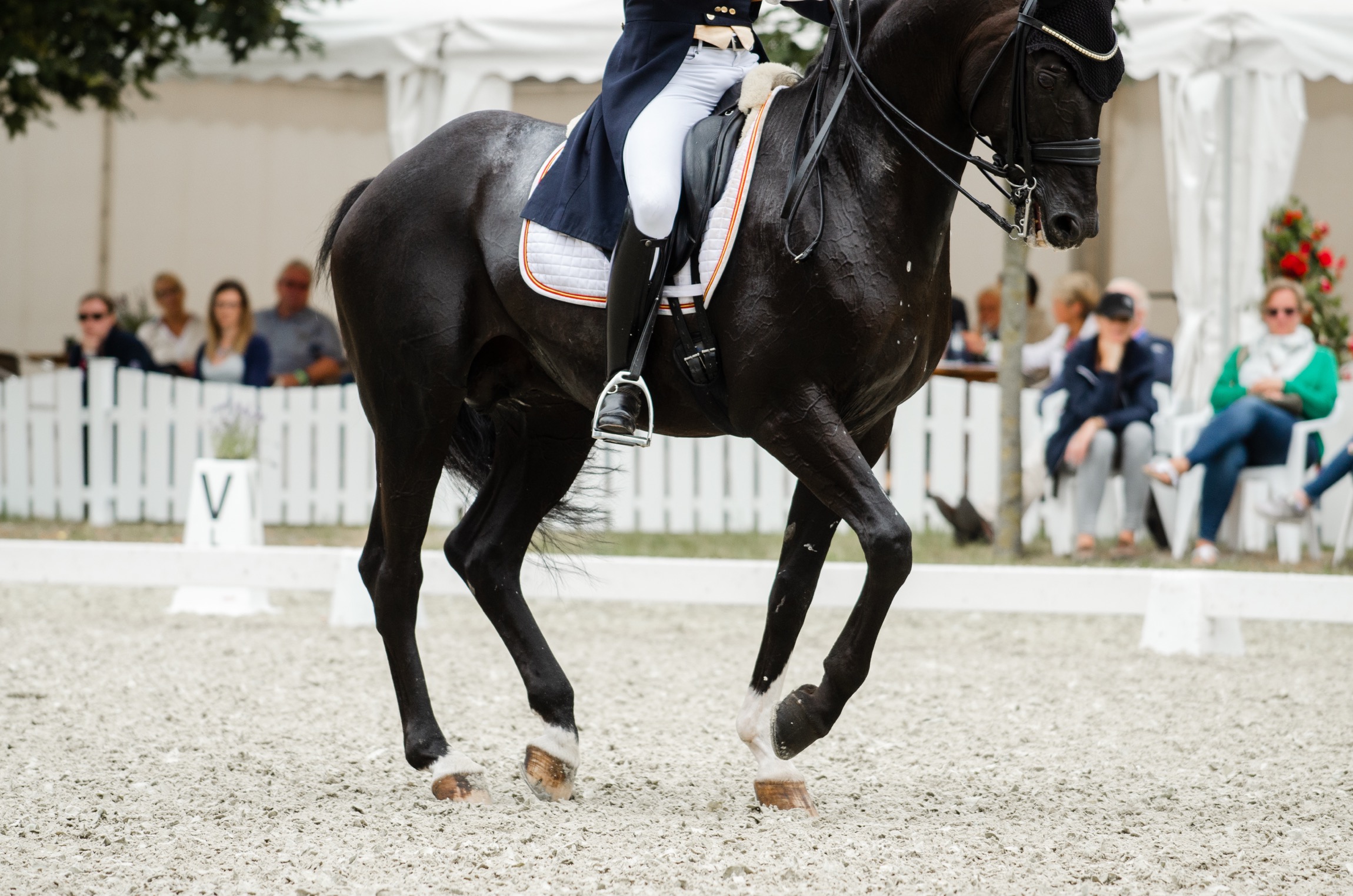 Dressurreiter trainiert auf Risohorse® Ebbe-Flut-Reitboden in Reithalle