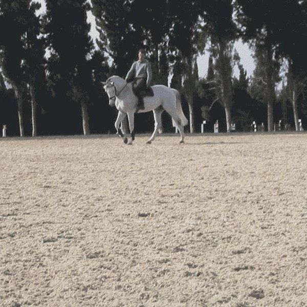 Sunshine Tour Dehesa Montenmedio Spanien Risohorse® Reitböden seit 2002