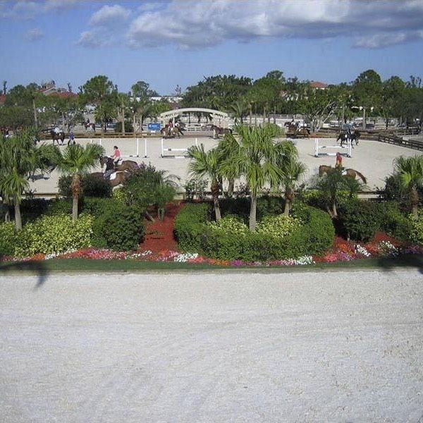 Risohorse Reitboden bei Winter Equestrian Games Showground Wellington Florida USA