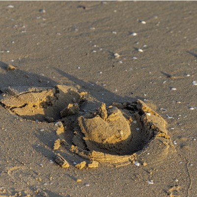 Gut Schwalmbruch Niederkrüchten und LZRFV Vollmarstein Risohorse® ohne Zuschlagstoffe