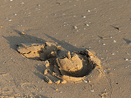 Hufeisenabdruck im Sandboden – Risohorse Reitboden ohne Zuschlagstoffe