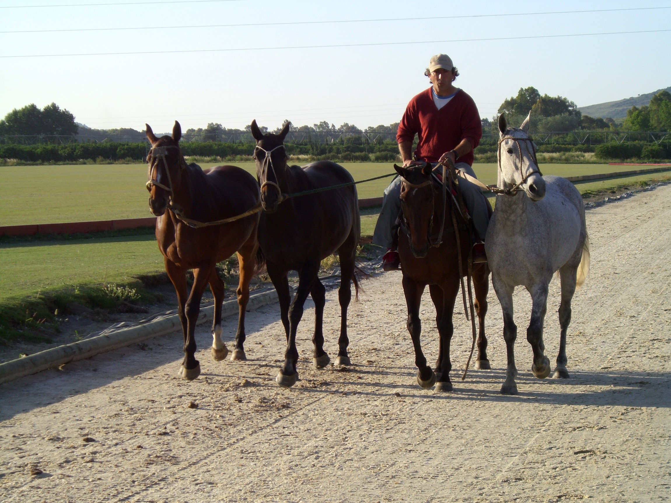 Polo-Trainingsbahnen Grupo Dos Lunas Spanien mit professionellem Risohorse Bodensystem