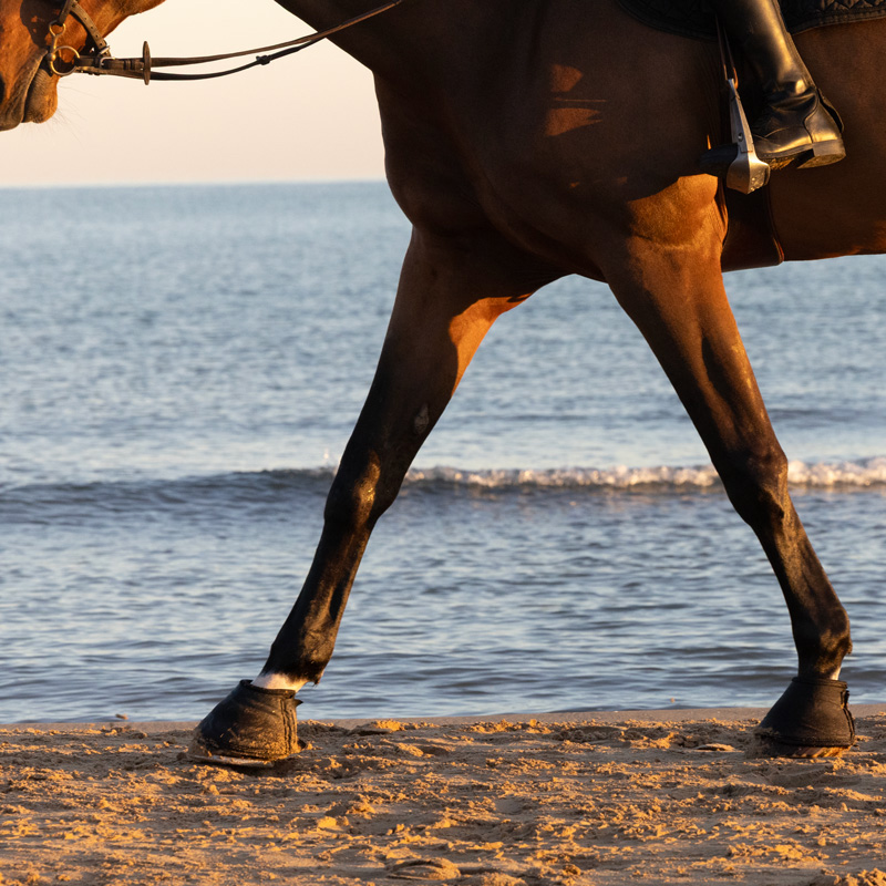 Risohorse® Ebbe-Flut-System