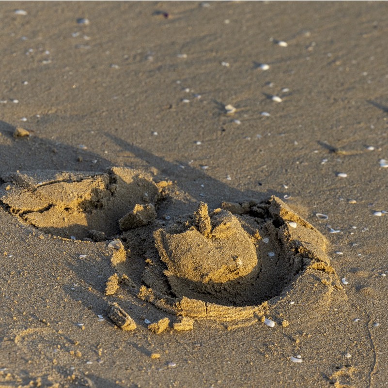 Risohorse® Ebbe-Flut-System