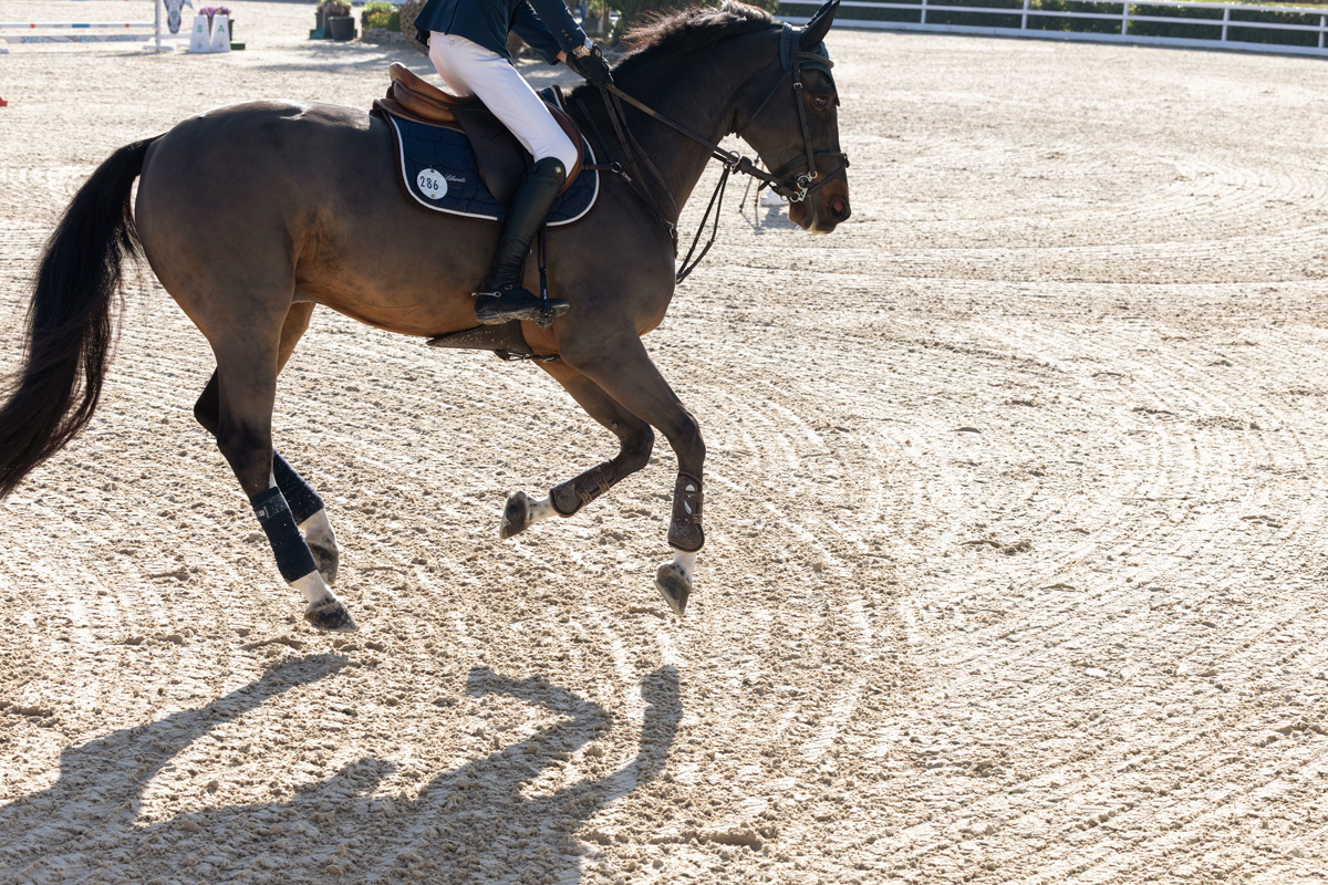 Risohorse® Ebbe und Flut – Turnierboden