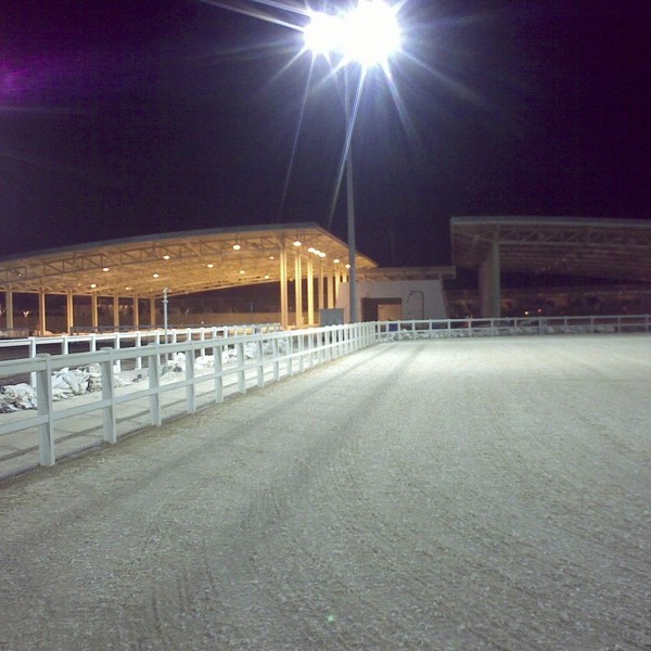 Four outdoor Risohorse arenas at Al Shaqab Academy Equestrian Center Doha Qatar