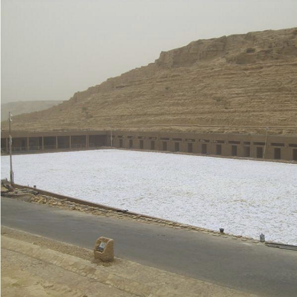 Royal equestrian facility in Riyadh Saudi Arabia with Risohorse ebb-and-flow arena