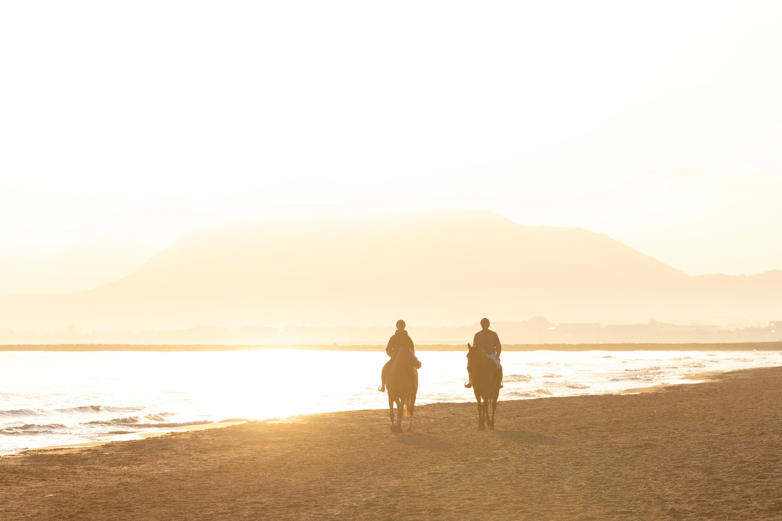 Two riders on beach at sunset – Natural riding conditions inspiring Risohorse® system