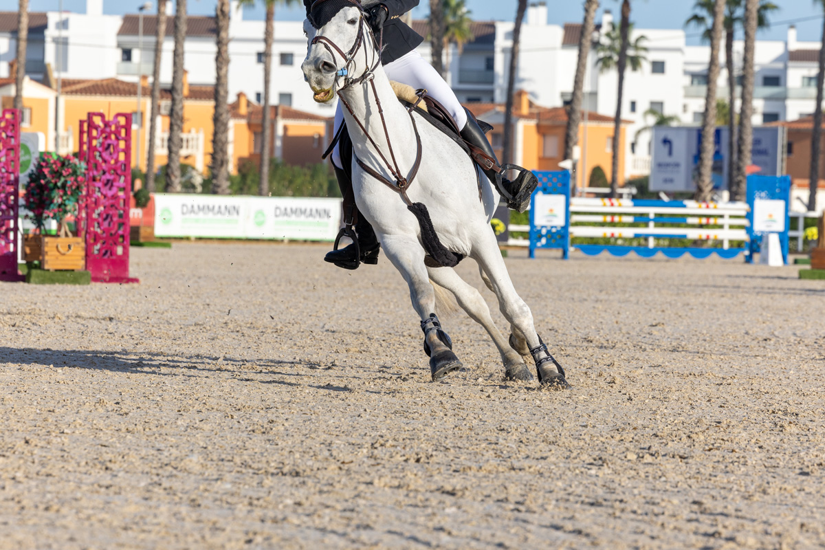 White horse galloping at show jumping competition on Risohorse® ebb-and-flow surface