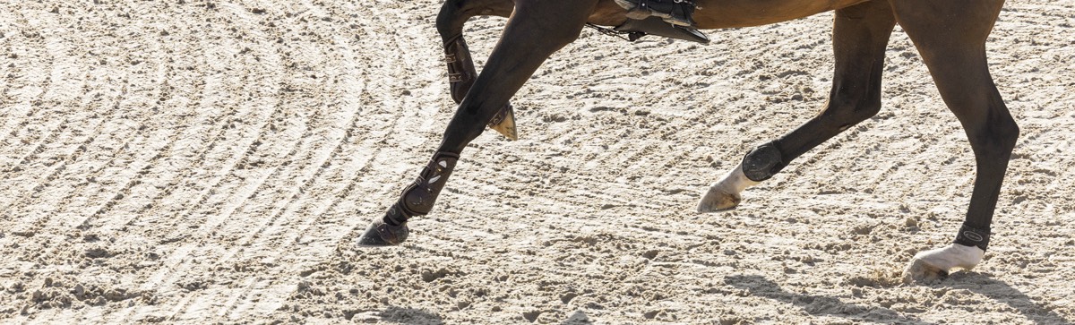Graues Springpferd mitten im Sprung über grünes Hindernis bei MET Oliva auf Risohorse Boden