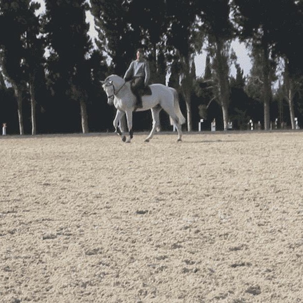 Risohorse® Ebbe-Flut-System